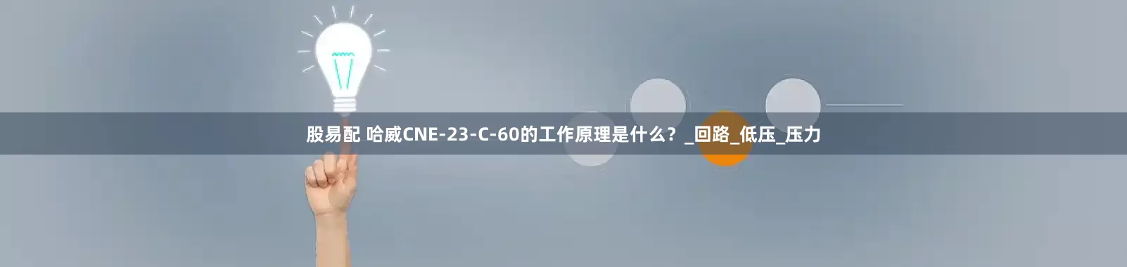 股易配 哈威CNE-23-C-60的工作原理是什么？_回路_低压_压力