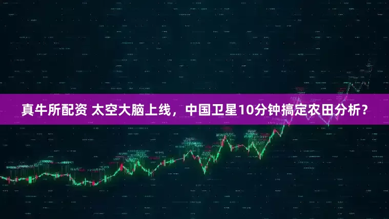 真牛所配资 太空大脑上线，中国卫星10分钟搞定农田分析？