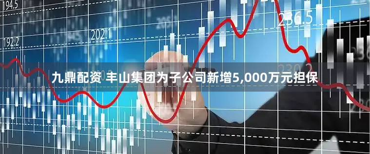 九鼎配资 丰山集团为子公司新增5,000万元担保