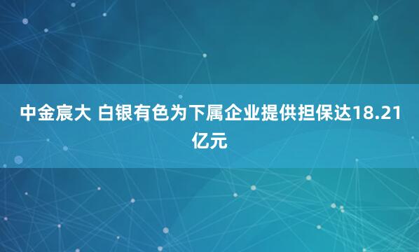 中金宸大 白银有色为下属企业提供担保达18.21亿元