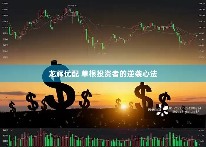 龙辉优配 草根投资者的逆袭心法